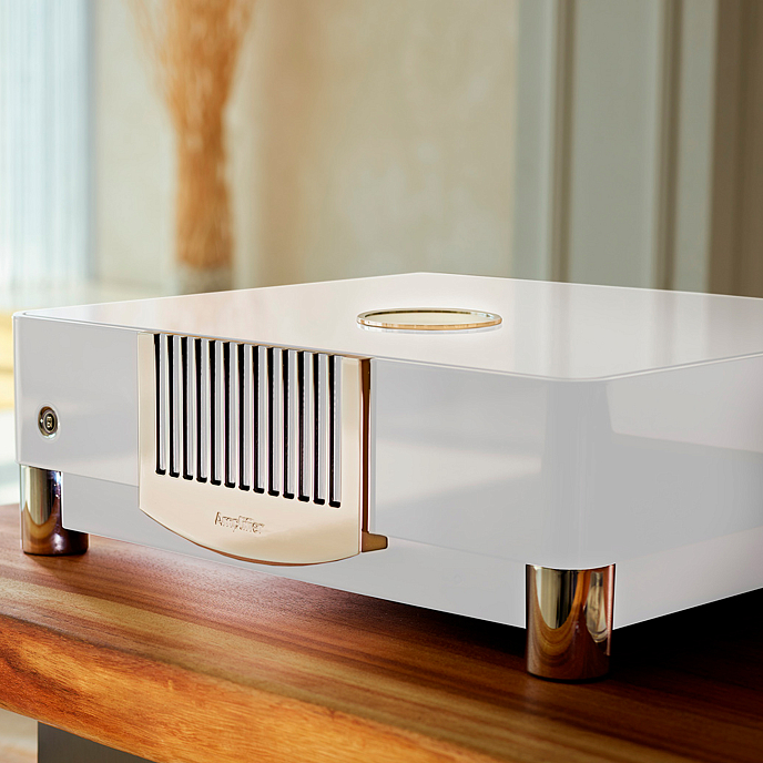 Усилитель мощности MBL N21 Stereo Power Amplifier Piano Black Gold - рис.11