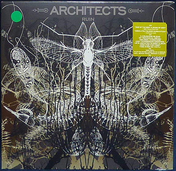 Пластинка Architects - Ruin - рис.0