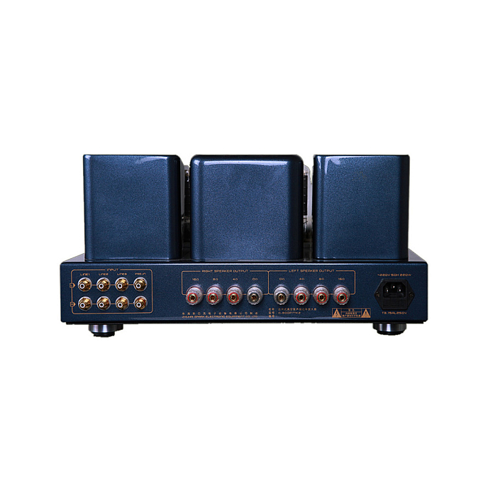 Интегральный усилитель Cayin A-300P MK2 Silver - рис.3