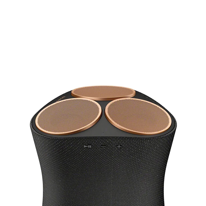 Портативная колонка Sony SRS-RA5000 Black - рис.5