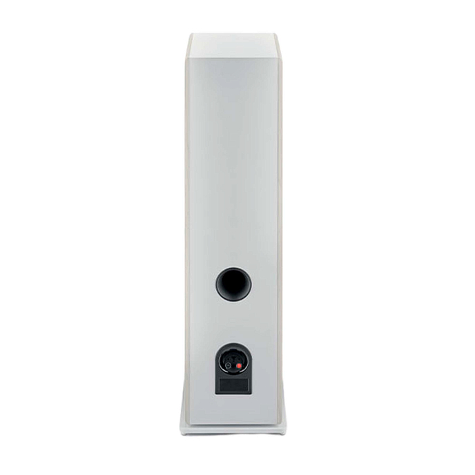 Напольная акустика Focal Vestia N4 Light Wood - рис.3