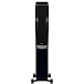 Напольная акустика Dynaudio Confidence 30 Midnight High Gloss - рис.2 Напольная акустика Dynaudio Confidence 30 Midnight High Gloss - рис.2
