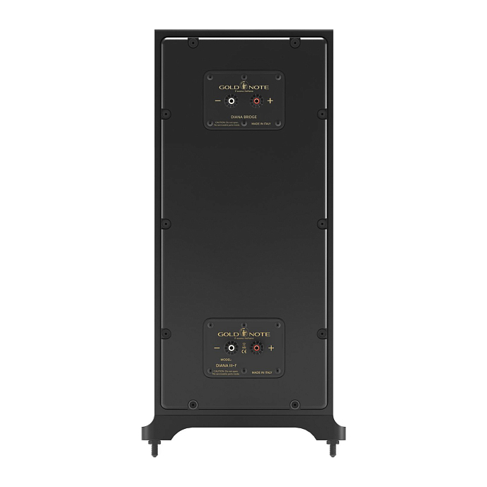 Сабвуфер Gold Note Diana III Subwoofer Black - рис.3
