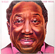 Виниловая пластинка Muddy Waters - I'm Ready - рис.2
