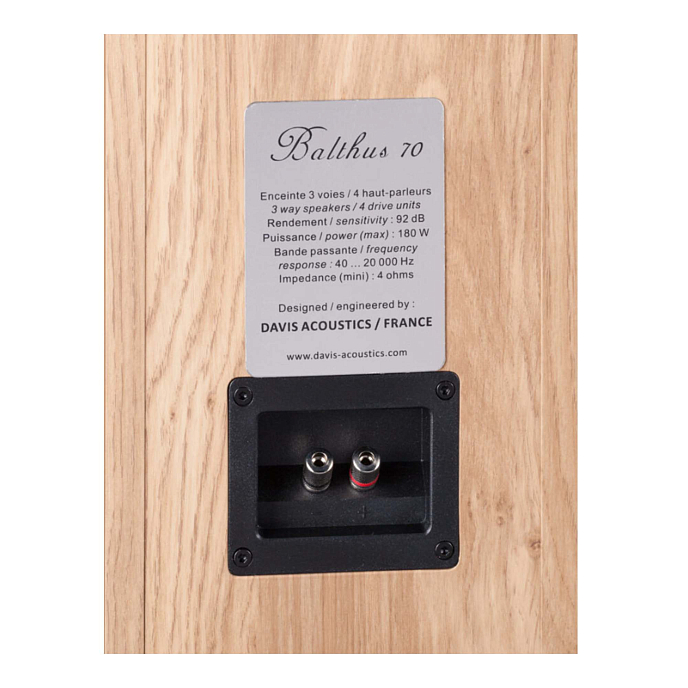 Напольная акустика Davis Acoustics Balthus 70 Light Oak - рис.7