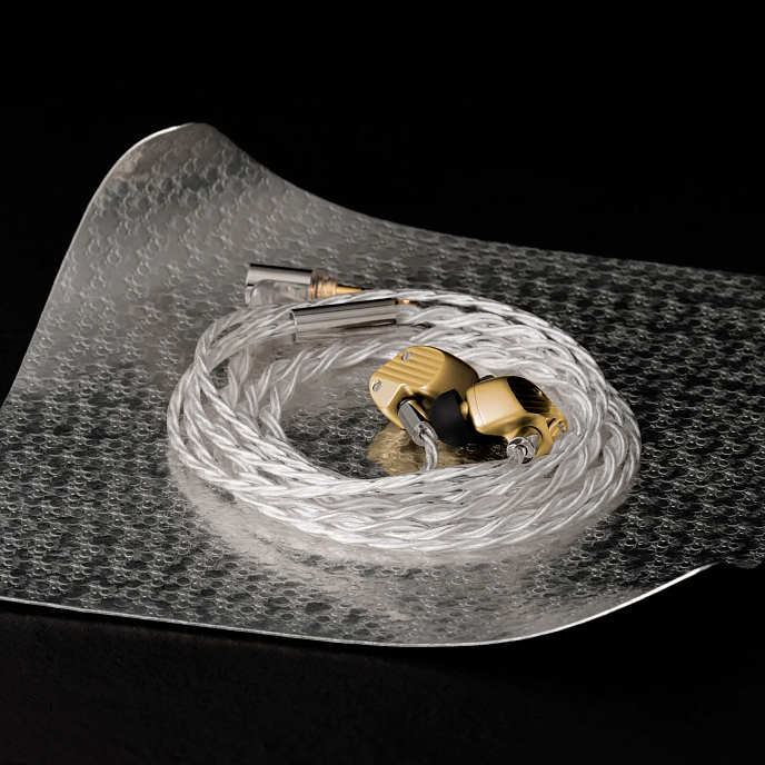 High End наушники Final Audio A10000 Collector’s Edition Gold - рис.3