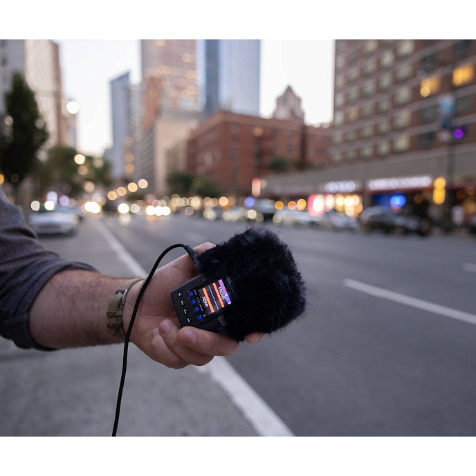 Аудиорекордер Zoom H2e - рис.11