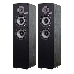 Напольная акустика Radiotehnika Sigma 1.02 Black Ash