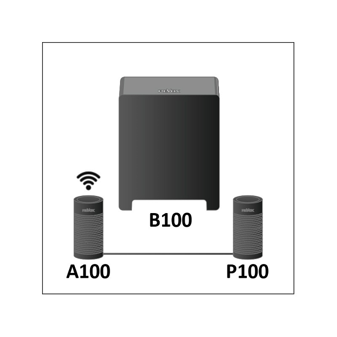 Сабвуфер Revox B100 Bass Module Black - рис.4