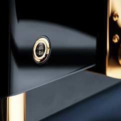 Предусилитель MBL N11 Preamplifier Piano Black Gold