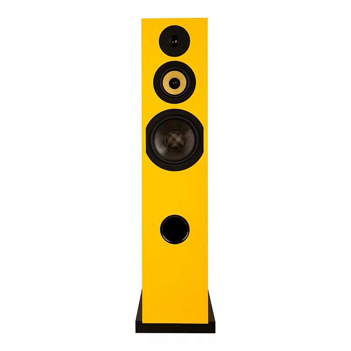 Напольная акустика Davis Acoustics Courbet N 8 Yellow - рис.2