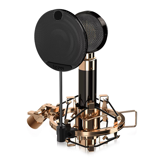 Микрофон студийный iCON Aurora Black Gold - рис.0