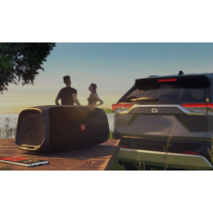 Портативная колонка JBL BassPro Go Black - рис.12