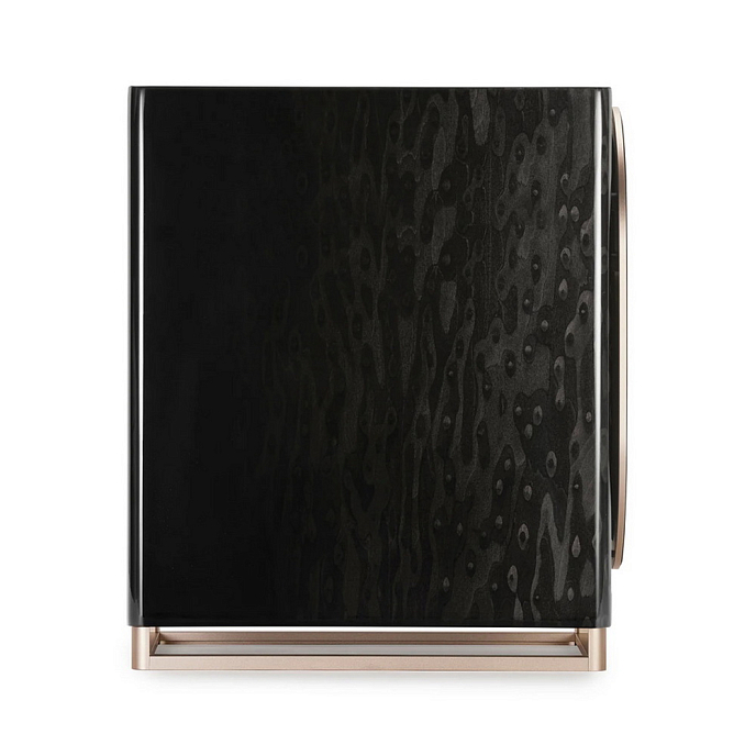 Полочная акустика Triangle CAPELLA Black Star - рис.2