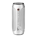 Портативная колонка JBL Pulse 2 Silver - рис.1
