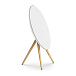 Напольная акустика Bang & Olufsen BeoPlay A9 4th Gen White - рис.3