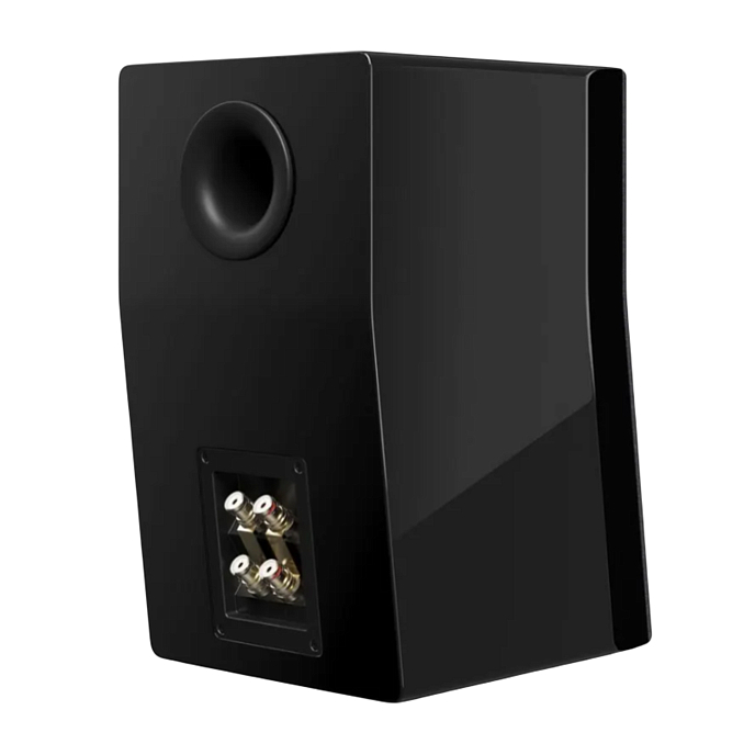 Полочная акустика SVS Ultra Evolution Bookshelf Piano Black - рис.5