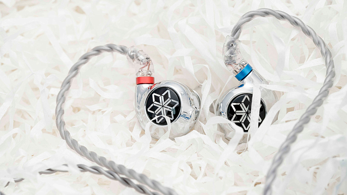 Наушники внутриканальные FiiO FD11 With Mic Silver - рис.4