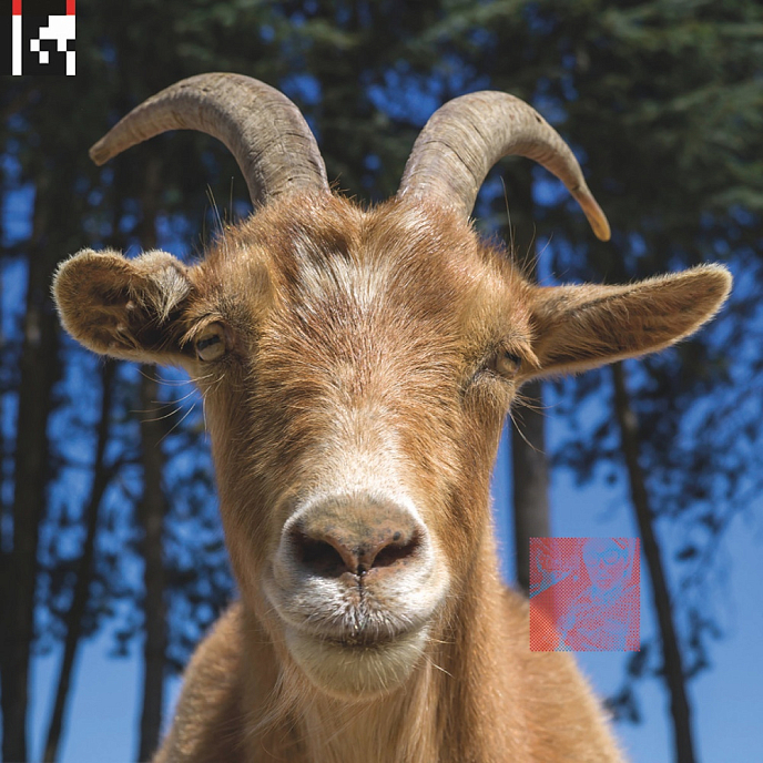 Виниловая пластинка Agoria – .Dev (coloured) - 2LP - рис.0