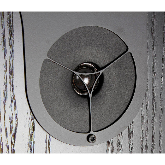 Напольная акустика Rega RX5 Black Ash - рис.3