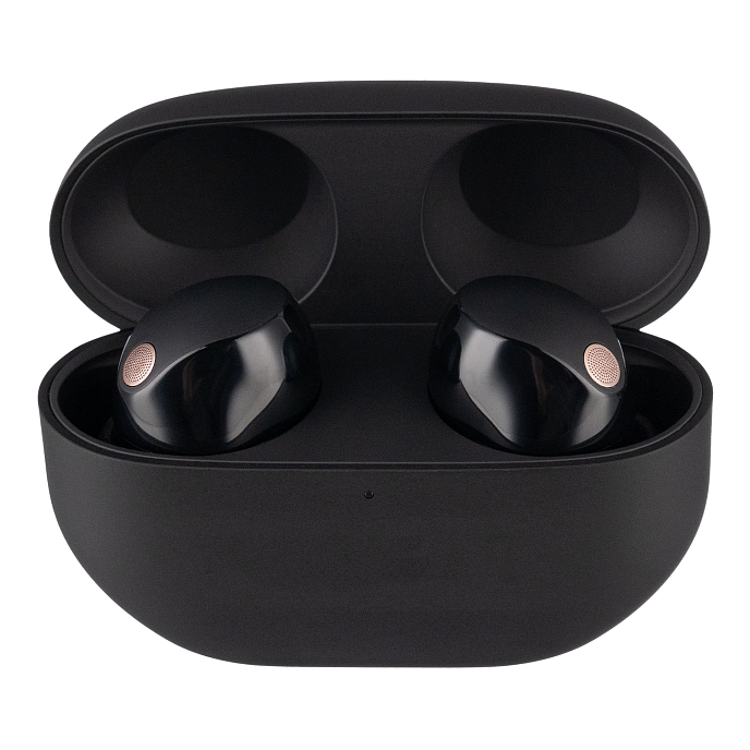 Беспроводные наушники Sony WF-1000XM5 Black - рис.3