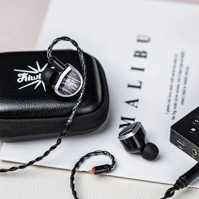 Наушники внутриканальные Kiwi Ears Aether Black/Silver - рис.9