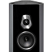 Напольная акустика Sonus Faber Sonetto VIII Black - рис.2 Напольная акустика Sonus Faber Sonetto VIII Black - рис.2