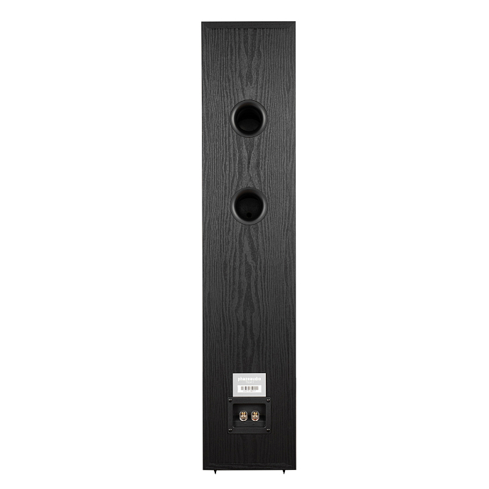 Напольная акустика Phaze Audio Tilia 1 Black - рис.1