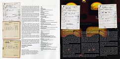 Пластинка Dorothy Ashby – Afro-Harping (Deluxe) LP