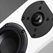 Настенная акустика SVS Prime Elevation Piano White - рис.1