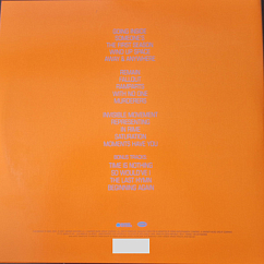 Виниловая пластинка John Frusciante - To Record Only Water For Ten Days (coloured) - 2LP