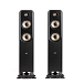 Напольная акустика Polk Audio Signature Elite ES55 Black - рис.0
