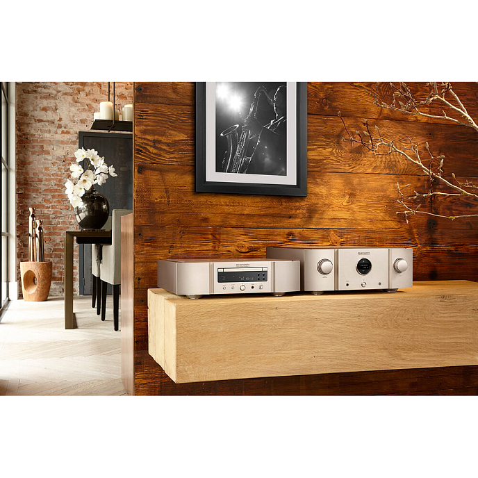 Интегральный усилитель Marantz PM10S1 Gold - рис.6