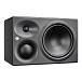 Студийный монитор Neumann KH 310 II L Black - рис.3