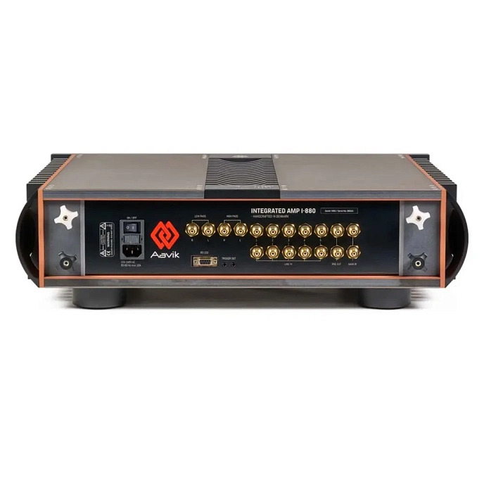 Интегральный усилитель Aavik I-880 Black - рис.2