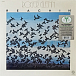 Виниловая пластинка Roger Glenn - Reachin (Analogue, Jazz Dispensary) LP - рис.1