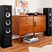 Напольная акустика Polk Audio Monitor XT60 Black - рис.6