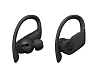 Беспроводные наушники Beats Powerbeats Pro Black - рис.1