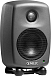 Студийный монитор Genelec 8010AP - рис.2 Студийный монитор Genelec 8010AP - рис.2