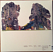 Виниловая пластинка Grizzly Bear - Painted Ruins - рис.3