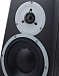 Студийный монитор Dynaudio BM5 mkIII - рис.6