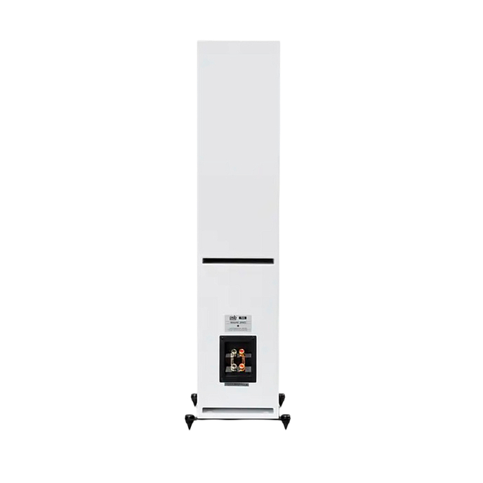 Напольная акустика PSB Imagine T65 White - рис.4