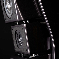 Напольная акустика Wilson Audio Alexx V Carbon