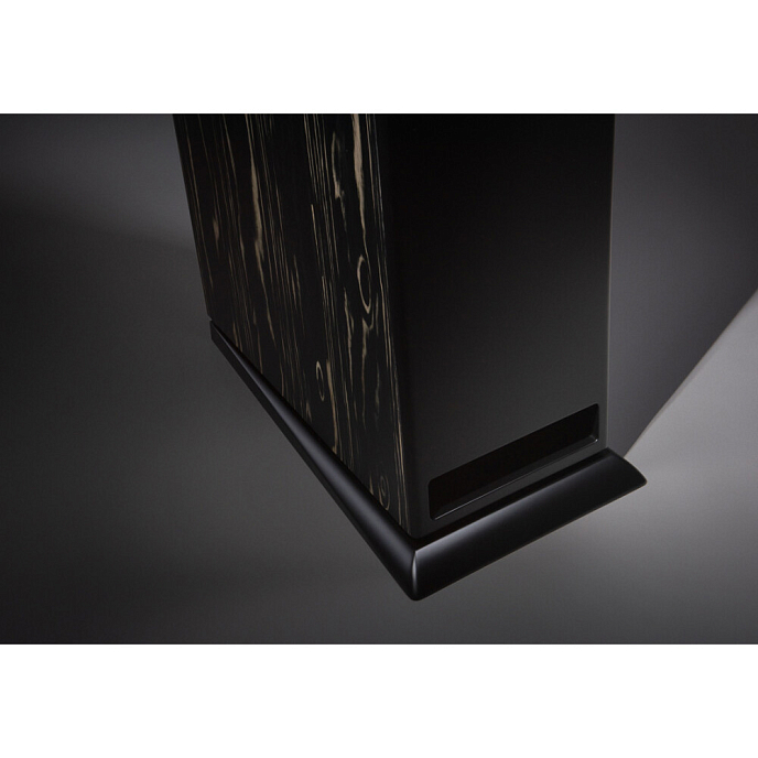 Напольная акустика Davis Acoustics MV One Master Ebony - рис.10