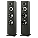 Напольная акустика Polk Audio Monitor XT60 Black - рис.0