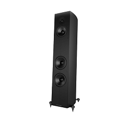 Напольная акустика Acoustic Energy Corinium Matte Black