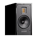 Напольная акустика Martin Logan Motion 20 Gloss Black - рис.3