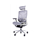 GTChair Dvary X grey