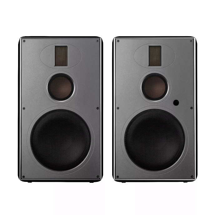 Полочная акустика Swan H8 Black - рис.1