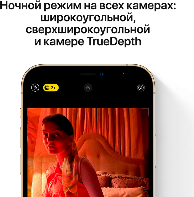 Телефон Apple iPhone 12 Pro Max 256GB Gold - рис.5